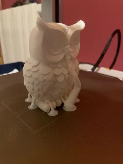 https://makerworld.bblmw.com/makerworld/model/1215136/1230763/ratings/02359cf0-8037-11f0-992f-05061f1b60b0.jpg