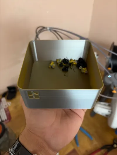 https://makerworld.bblmw.com/makerworld/model/1215571/1231276/ratings/905c93e0-c505-11f0-bc74-f5682c1a5236.jpg
