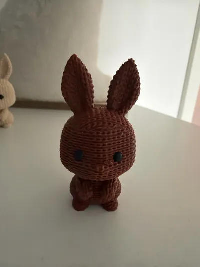 https://makerworld.bblmw.com/makerworld/model/1215888/1231699/ratings/5272f380-fa9d-11f0-97a7-1f09500a5e99.jpg