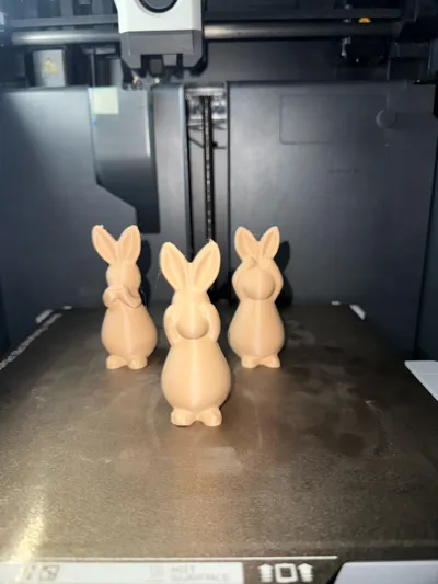 https://makerworld.bblmw.com/makerworld/model/1216833/1236868/ratings/d5f0d360-0f77-11f0-b0d1-792b30762a07.jpg