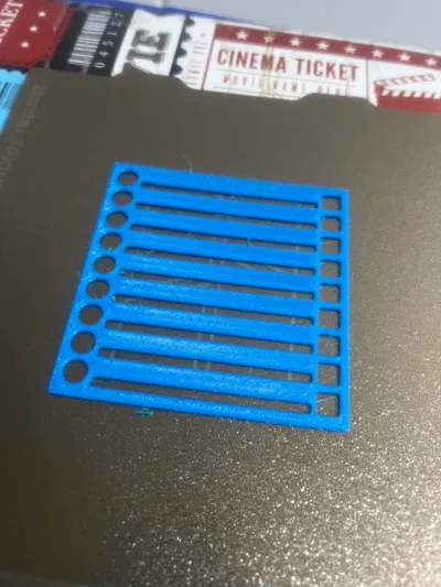https://makerworld.bblmw.com/makerworld/model/1216882/1232927/ratings/b0390840-13c8-11f0-9ff5-f3c38d000a9b.jpg