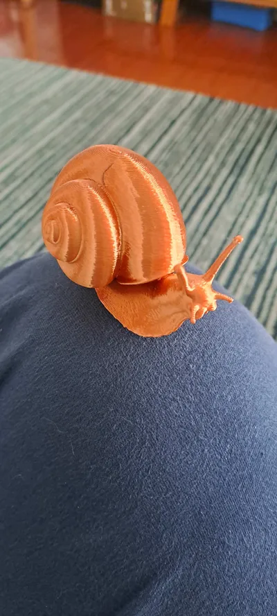 https://makerworld.bblmw.com/makerworld/model/1217617/1233801/ratings/b4187fb0-1f29-11f0-8348-e71e663b840f.jpg