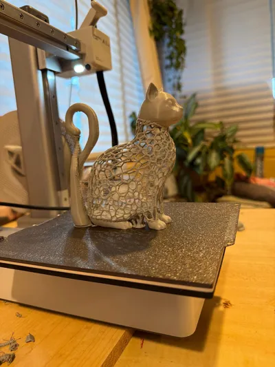 https://makerworld.bblmw.com/makerworld/model/1217883/1234112/ratings/a9ef4520-ee75-11f0-8fc8-073ce25cd5a0.jpg