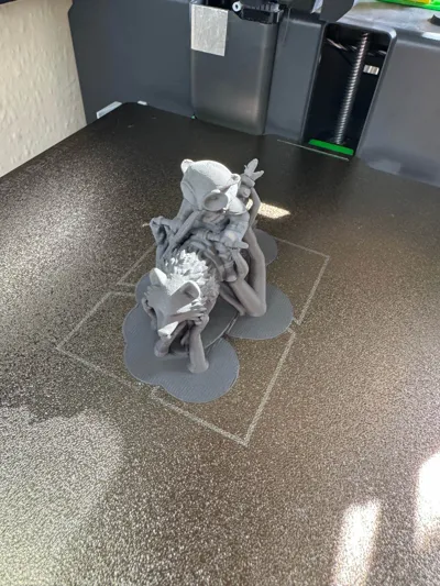 https://makerworld.bblmw.com/makerworld/model/1218486/1283887/ratings/d7cb3d60-0e32-11f0-8833-ab9fda7bdc0b.jpg