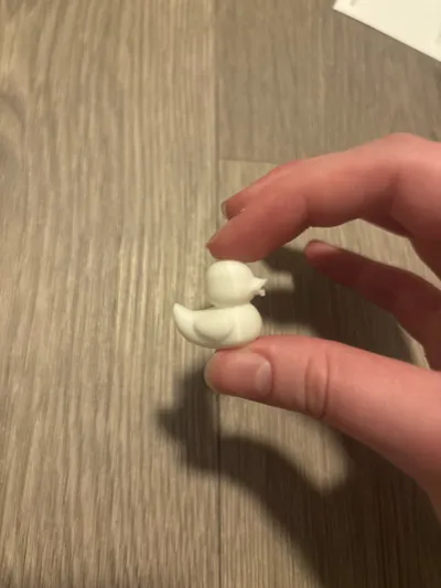 https://makerworld.bblmw.com/makerworld/model/1218732/1235157/ratings/0592e670-e679-11f0-a330-9b3f0242ec8b.jpg