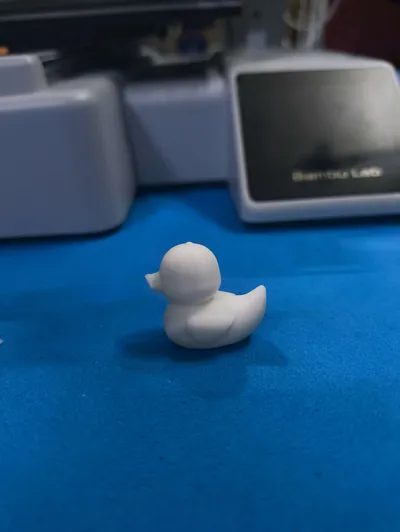 https://makerworld.bblmw.com/makerworld/model/1218732/1235157/ratings/32115cf0-a618-11f0-b6ef-33a371fb3b44.jpg