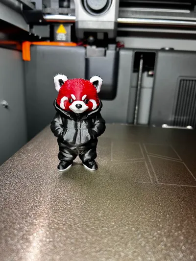 https://makerworld.bblmw.com/makerworld/model/1218766/1235188/ratings/dab0c2b0-f735-11f0-8d01-0ff692d1c69b.jpg