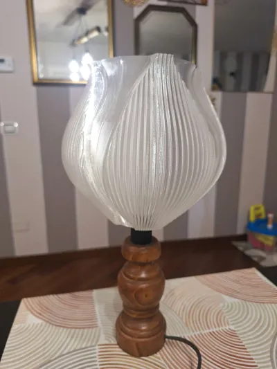 https://makerworld.bblmw.com/makerworld/model/1219572/1236154/ratings/89905080-543d-11f0-9faa-41ec455d6e33.jpg