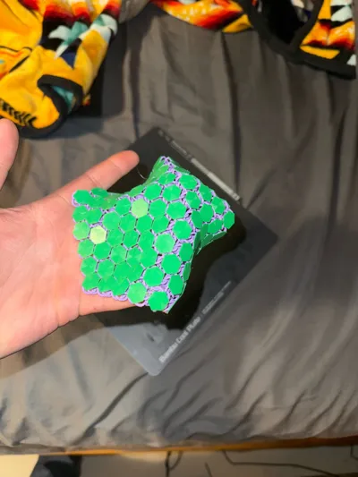 https://makerworld.bblmw.com/makerworld/model/122006/198583/ratings/418c69f0-4bf4-11f0-b22e-db773a1a034d.jpg