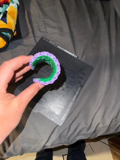 https://makerworld.bblmw.com/makerworld/model/122006/198583/ratings/41901370-4bf4-11f0-b22e-db773a1a034d.jpg