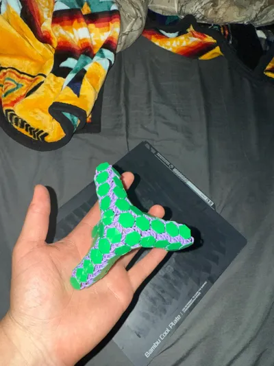 https://makerworld.bblmw.com/makerworld/model/122006/198583/ratings/41998950-4bf4-11f0-b22e-db773a1a034d.jpg