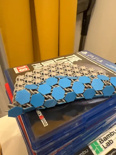 https://makerworld.bblmw.com/makerworld/model/122006/198583/ratings/c48c6960-164b-11f0-a147-73a4cf0d2f37.jpg