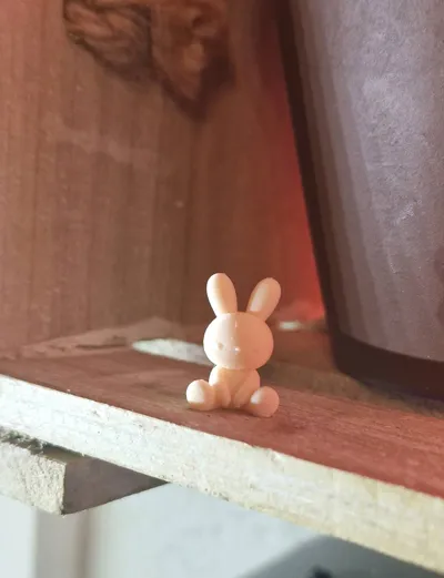https://makerworld.bblmw.com/makerworld/model/1220901/1237767/ratings/3391ed50-f2d6-11f0-8ff1-0f4060d334de.jpg