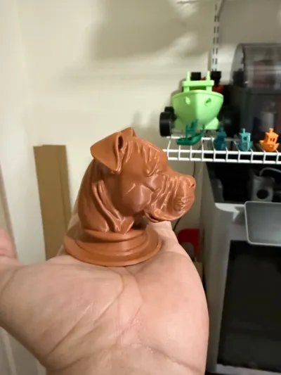 https://makerworld.bblmw.com/makerworld/model/1221211/1238136/ratings/82e701b0-1fbe-11f0-97fe-a16731318858.jpg