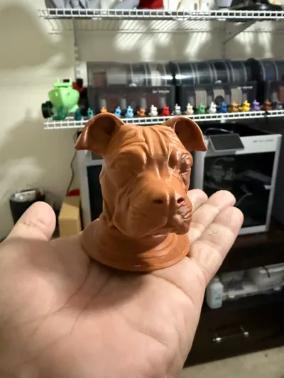 https://makerworld.bblmw.com/makerworld/model/1221211/1238136/ratings/82e701b1-1fbe-11f0-97fe-a16731318858.jpg