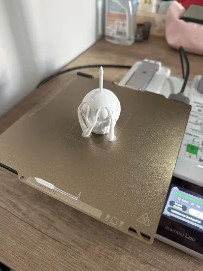 https://makerworld.bblmw.com/makerworld/model/1221247/1238171/ratings/2c93e9c0-47b1-11f0-b45e-e521822f93bf.jpg