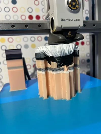https://makerworld.bblmw.com/makerworld/model/1221887/1238893/ratings/8a4da980-6024-11f0-b612-3ddbf2842778.jpg