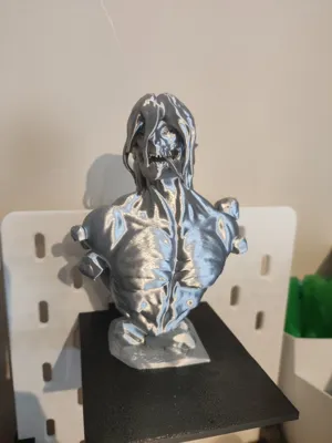 https://makerworld.bblmw.com/makerworld/model/1222556/1239663/ratings/ed2b7a30-2728-11f0-8c22-f38ce015e91b.jpg