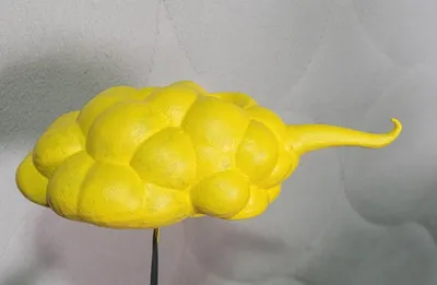https://makerworld.bblmw.com/makerworld/model/1223115/1240344/ratings/047709a0-fc87-11f0-9b06-1b9b8a831512.jpg