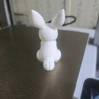 https://makerworld.bblmw.com/makerworld/model/1223139/1240374/ratings/21054050-1637-11f0-974d-3943b41d1d64.jpg