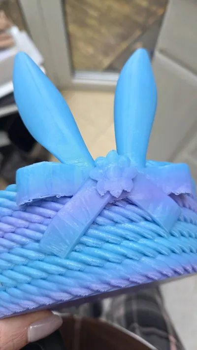 https://makerworld.bblmw.com/makerworld/model/1223618/1240945/ratings/9cd66e50-0fb2-11f1-b11e-6f37840b5cab.jpg