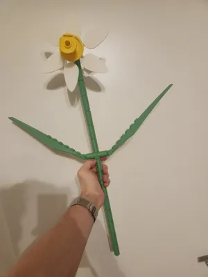 https://makerworld.bblmw.com/makerworld/model/1224598/1242084/ratings/74c61400-0703-11f0-9710-7d5f556dc73c.jpg