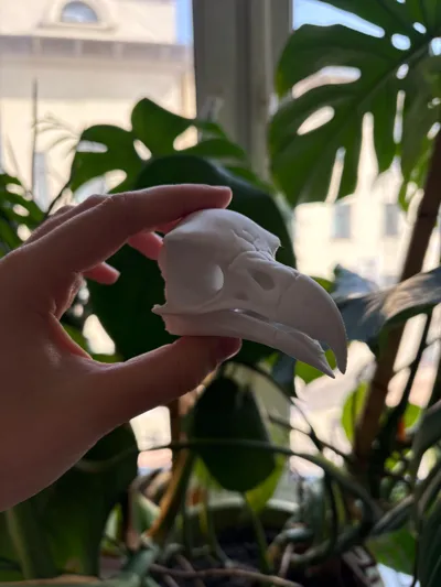 https://makerworld.bblmw.com/makerworld/model/1225445/1243049/ratings/c33c55a0-2755-11f0-9950-e14471da454a.jpg