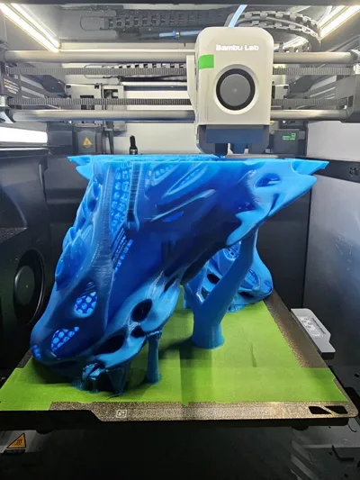 https://makerworld.bblmw.com/makerworld/model/1229146/1251096/ratings/5e08a3b0-25dd-11f0-bec4-37f134bfa919.jpg