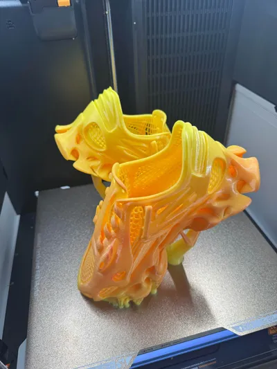https://makerworld.bblmw.com/makerworld/model/1229146/1251096/ratings/5e5c6170-b5c6-11f0-88ff-53bb38c0f620.jpg