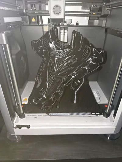 https://makerworld.bblmw.com/makerworld/model/1229146/1251096/ratings/6c4a9930-17d0-11f0-9422-fdefbc1f8ab0.jpg