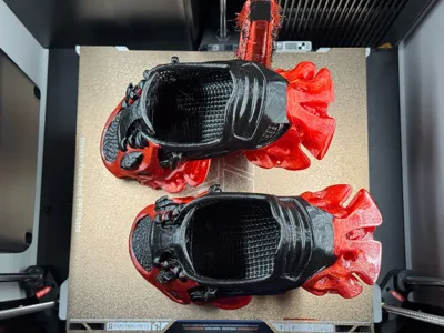 https://makerworld.bblmw.com/makerworld/model/1229146/1251096/ratings/d81ae340-56dc-11f0-958b-71227310dfc9.jpg