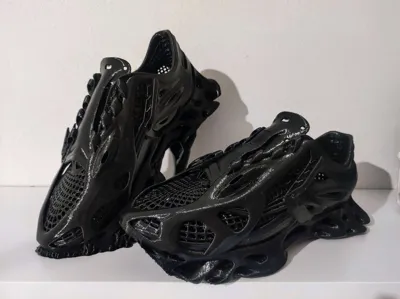 https://makerworld.bblmw.com/makerworld/model/1229146/1268758/ratings/5be50120-dd8c-11f0-85f6-51048d789abe.jpg