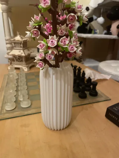 https://makerworld.bblmw.com/makerworld/model/1230003/1248608/ratings/dbdb1e70-c64c-11f0-b209-93a62e825a33.jpg