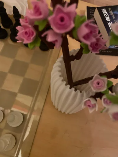 https://makerworld.bblmw.com/makerworld/model/1230003/1248608/ratings/dbdb1e71-c64c-11f0-b209-93a62e825a33.jpg