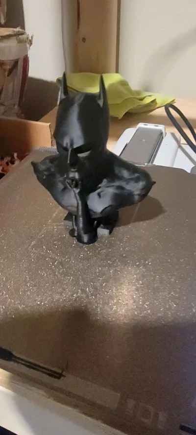 https://makerworld.bblmw.com/makerworld/model/1230126/1248751/ratings/fb665600-e73b-11f0-9391-371ca541a8e5.jpg