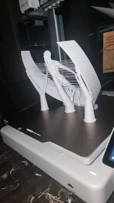 https://makerworld.bblmw.com/makerworld/model/1230224/1248860/ratings/0487bbe0-9744-11f0-9d5e-450367f9f69b.jpg