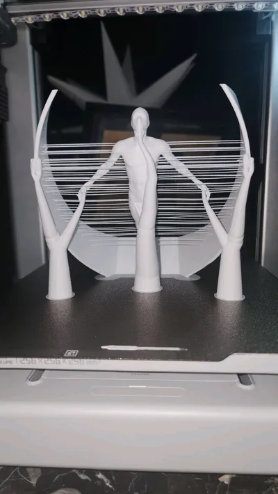 https://makerworld.bblmw.com/makerworld/model/1230224/1248860/ratings/04bab2c0-9744-11f0-9d5e-450367f9f69b.jpg