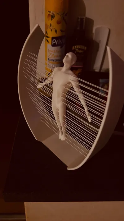 https://makerworld.bblmw.com/makerworld/model/1230224/1248860/ratings/3c04bf80-0df8-11f0-b459-95507507465f.jpg