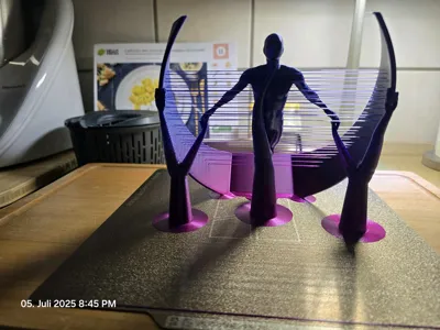 https://makerworld.bblmw.com/makerworld/model/1230224/1248860/ratings/6771e600-59d1-11f0-a5fc-1d723f6d1299.jpg