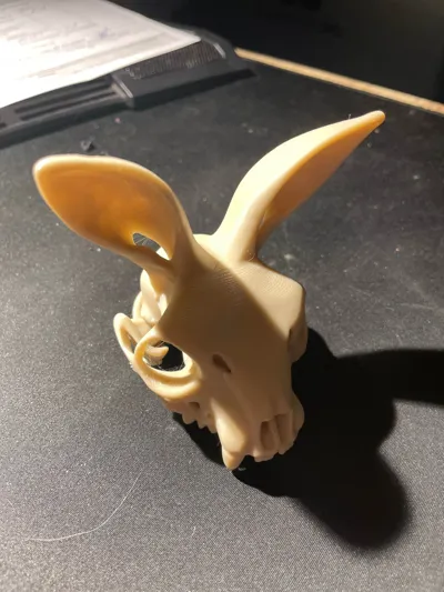 https://makerworld.bblmw.com/makerworld/model/1230711/1249426/ratings/3e3c1790-0f19-11f0-9ee8-17f1eadde9e3.jpg