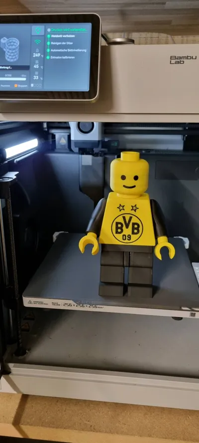 https://makerworld.bblmw.com/makerworld/model/1232593/1251539/ratings/d17be3c0-29a7-11f0-b3a1-ffc66ebe6045.jpg
