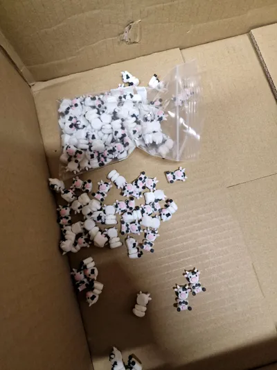https://makerworld.bblmw.com/makerworld/model/1232603/1251550/ratings/e43757b0-be62-11f0-9aa4-998fbb043056.jpg