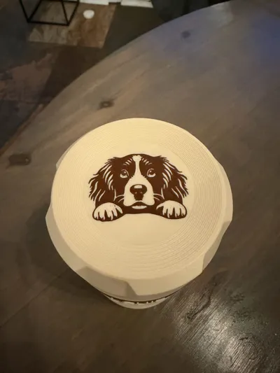 https://makerworld.bblmw.com/makerworld/model/1232711/1251690/ratings/4aecaf40-d692-11f0-ac9c-05d00f531952.jpg