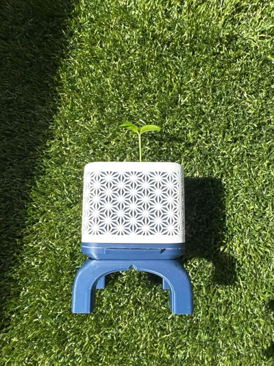 https://makerworld.bblmw.com/makerworld/model/1233501/1252582/ratings/913f1810-50fb-11f0-91a0-0f869b0115b3.jpg