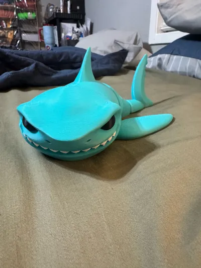 https://makerworld.bblmw.com/makerworld/model/1233947/1253177/ratings/38607870-7dbe-11f0-8698-77c833131be9.jpg