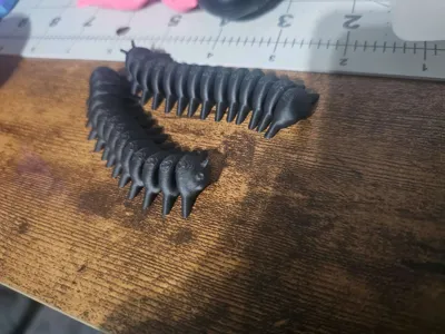 https://makerworld.bblmw.com/makerworld/model/1234431/1253817/ratings/e0cb1300-ee1e-11f0-a1fc-31cb37e3b9ee.jpg