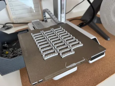 https://makerworld.bblmw.com/makerworld/model/1234874/1254345/ratings/37bb8270-96c3-11f0-8ae5-2931a0ea3fb8.jpg