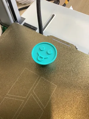 https://makerworld.bblmw.com/makerworld/model/1235028/1254542/ratings/83061fa0-079a-11f0-9b28-1531065bf53a.jpg