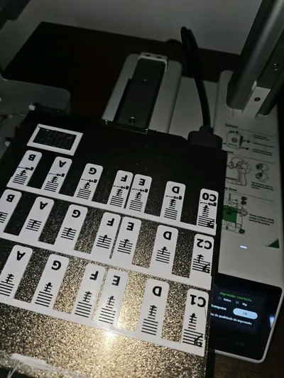 https://makerworld.bblmw.com/makerworld/model/1235198/1254713/ratings/6218e370-54fe-11f0-ba4c-f3e9217936b2.jpg
