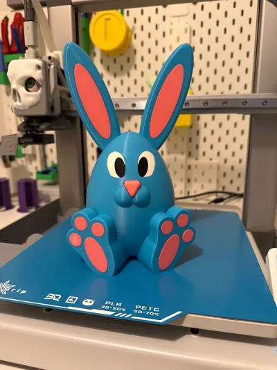 https://makerworld.bblmw.com/makerworld/model/1237904/1257934/ratings/2ab0d990-0e24-11f0-8dd2-57e3b1064db7.jpg